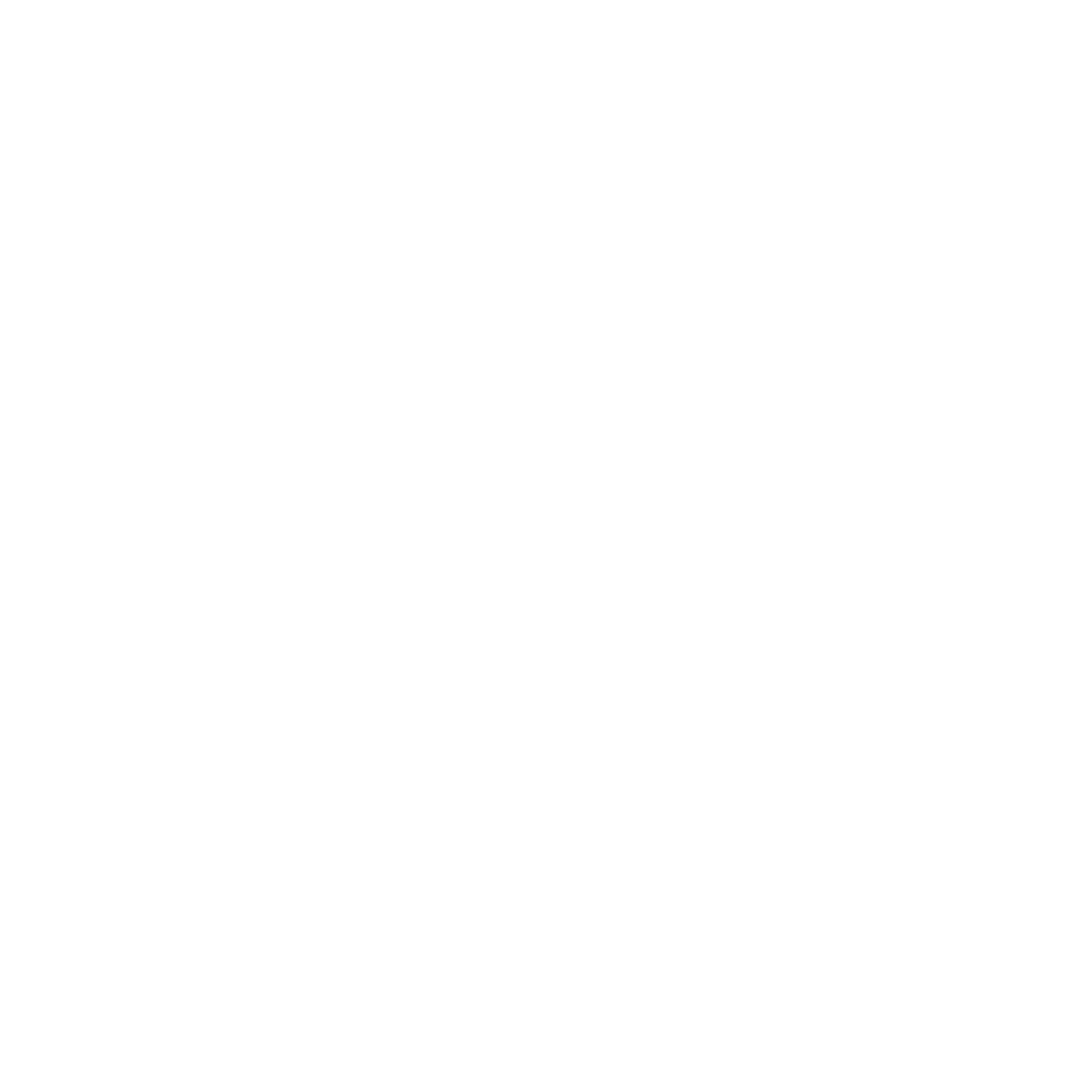 Mission XIII